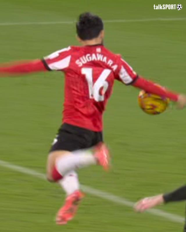 1732463216655007846.jpg 1732463210830.jpg